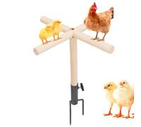 Parakeet Standing Stick, Wooden Bird Perch, Macaw Perch Stick, Poultry Perch Stand, Natural Wood Parakeet Standing Stick Designed for Macaws, Parakeets, and Sparrows Promoting Healthy Foot Development