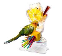 Parakeet Toys Wheel - Cage Spinner, Bird Chew | Interactive Rotating Exercise Toy for Cockatiels Conures African Grey Parrots Training Accessories for Enrichment Fun Activity Indoor Cage Use