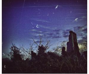 Parallel Worlds and Dave Bessell - Morphogenic