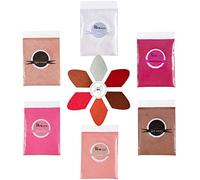 PARAMISS Lip Gloss Pigment Powder Natural Lip Dye 5 Colors x 10G and White Metallic Shimmer Pearl Glitter Pigment Powder for Lip Gloss Lipstick Eyeshadow Cosmetic Gradelip gloss making pigment