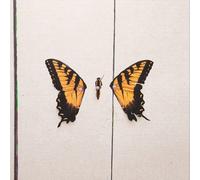 Paramore - brand new eyes [VINYL]