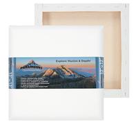 Paramount Contour Convex Profile Stretched Canvas, 12x12 Square Canvas, 5 Pack, 1" Deep - Double Primed for Oil, Acrylic, and Mixed Media Art - 100% Cotton Duck Medium Texture