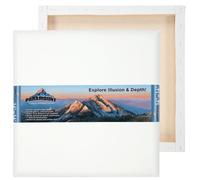 Paramount Contour Convex Profile Stretched Canvas, 16x16 Square Canvas, 5 Pack, 1" Deep - Double Primed for Oil, Acrylic, and Mixed Media Art - 100% Cotton Duck Medium Texture