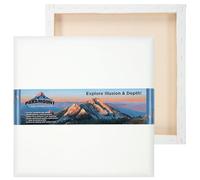 Paramount Contour Convex Profile Stretched Canvas, 20x20 Square Canvas, 5 Pack, 1" Deep - Double Primed for Oil, Acrylic, and Mixed Media Art - 100% Cotton Duck Medium Texture