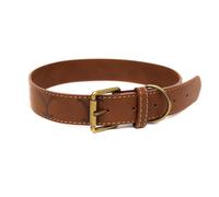 Paramount Network Dog Collar with Easy Adjustable Buckle, Dutton Ranch Yellowstone, Medium 11 to 15 Inch Length 0.75 Inches Wide