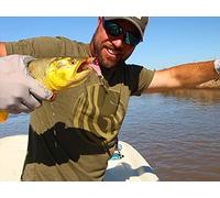Parana River Argentina wolf fish and Golden Dorado