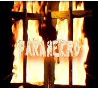 PARANECRO Steam CD Key