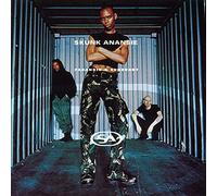 Paranoid & Sunburnt [VINYL]