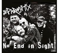 No End In Sight [VINYL]