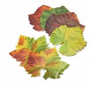 Parchment Paper Leaves for Cheese & Charcuterie Boards - Sisson Distribution Leaves (Pack of 20) (Grape Variety). Made in USA with French Parchment Paper.