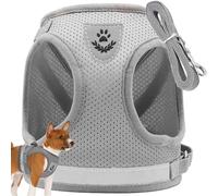 PARENCE. - Small Dog Cat Harness with Leash - Adjustable Breathable Mesh Vest Safety and Comfort for Puppies, Kittens and Small Animals