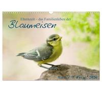 Parental leave - the family life of blue tits UK-Version (Wall Calendar 2026 DIN A3 Landscape), CALVENDO 12 Month Wall Calendar