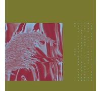 Pariah - Here From Where We [VINYL]