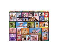 PARIS, DOMINIC DAVISON (General merchandise)