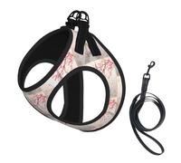 Paris Eiffel Tower Flowers Blooming Pet Leash Vest For Small Dogs Cats Reflective Adjustable Soft Outdoor Walking Hiking Training