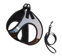 Paris Eiffel Tower Print Pet Leash Vest Reflective Adjustable Soft Mesh Vest Breathable For Daily Walks