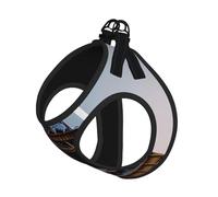 Paris Eiffel Tower Print Pet Leash Vest Reflective Adjustable Soft Mesh Vest Breathable For Daily Walks