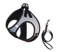 Paris Eiffel Tower Print Small Dog Harness with Leash Set, No Escape Easy Walk Puppy Harnesses for Training Walking