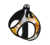 Paris Eiffel Tower Print Step in Dog Harness and Leash Set,Adjustable Reflective Harness for Small Dogs Cats
