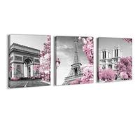 Paris Eiffel Tower Wall Decor for Girls Bedroom Pink Paris Room Decor Black and White Bathroom Pictures Wall Decor Modern Home Art Artwork for Walls Canvas Framed Wall Decoration Size 12x16 Each Panel