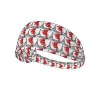 Paris Printing Multifunctional Comfortable Elastic Sports Headband Lightweight Casual For Outdoor Activitiesâ€‹