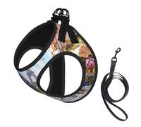 Paris Street Scene Eiffel Tower print Dog Harness and Leash Set, Reflective Adjustable Puppy Vest for Small Medium Large Dogs, Cats