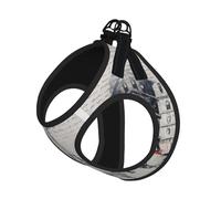 Paris Street Tower Painting Print Harness Leash Set For Cats And Dogs, Reflective Adjustable, Soft Breathable Mesh Vest With Escape-Proof Lead, For Small Pets And Kitten Puppies