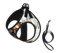 Parisian Dachshund Print Dog Harness Leash Set Reflective Pet Harness Puppy Vest Suitable Dogs Cats Small Breeds