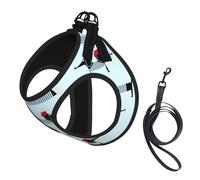 Parisian Dachshund Printing Dog Summer Harness,Soft Light Puppy Vest,Breathable Pet Harness Reflective For Easy Walking