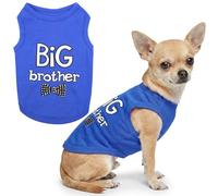 Parisian Pet Big Brother Dog Tank Blue