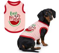 Parisian Pet Dog T-Shirt - Embroidered 'One in a Melon' - 100% Cotton, Lightweight, Machine Washable - XL