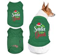 Parisian Pet Embroidered 'Dear Santa Define Good' Christmas Dog T-Shirt - 100% Cotton, Machine Washable, Medium Dogs