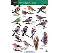 Park and Garden Birds (WildID)