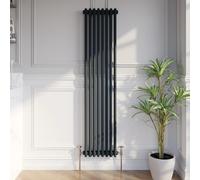 Park Lane Traditional Vertical Colosseum Double Bar Column Radiator Anthracite - 1600 x 380mm