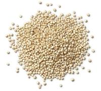 Parkers Foodservice - White Quinoa 1 kg | High-Protein Gluten-Free Grain for Salads & Bowls