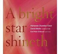 Parkman,Stefan/Academy Chamber Choir of Uppsala - All-Night Vigil