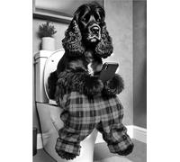 Parksmoonprints Black Cocker Spaniel Toilet Print - Dog on Cell Phone Red Tartan Pyjamas Picture Animal Loo Wall Art Funny Bathroom Quote Sign Ensuite - Quirky Wall Art (Black & White, A4 Size)