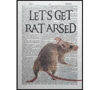 Parksmoonprints Let’s Get Rat Arsed Quote Dictionary Print Picture Animal Pun Drunk Funny Gift Quirky Wall Art Humour Print Pub Bar Drunk Humour Home Bar