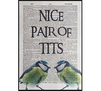 Parksmoonprints Nice Pair Print Funny Quote Vintage Dictionary Page Wall Art Picture Bird Pun Quirky Wall Art Humour Gift Print Romance Flirting Anniversary