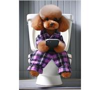 Parksmoonprints Toy Poodle Sitting on Toilet with Mobile Phone Print Funny Dog With Cell Phone Animal Picture Bathroom Ensuite Wall Art Tartan Sign (Full Colour, A4 Size)