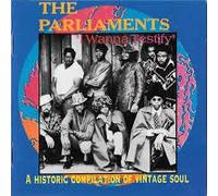 Parliament - I Wanna Testify