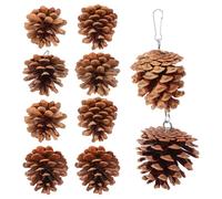 Parliky 10Pcs Bite-Resistant Parrot Chewing with Natural Pine Cones, Sturdy Bird Cage Hanging Playthings for Foraging and Beak Grinding, Fun Pet for Macaws and Parakeets