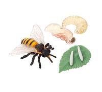 Parliky 1Set Realistic Bee Growth Cycle Model Educational Display Figurine for Insect Learning Safe Material for Home Decor and Teaching About