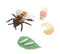 Parliky 1Set Simulation Bee Growth Decor Educational Honey Bee Models for Life Cycle Teaching Plaything Early Years for Imagination and Natural Science Learning