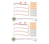 Parliky 2 Sets DIY Fruit Battery Science Experiment Kit Metal Educational Potato Clock Making Kit for Students Hands Electrical Circuits Learning