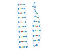 Parliky 2pcs Dna Double Helix Structure Model Kit for Biology Teaching and Genetics Learning Molecular Model Kit for School Science Classes and Laboratory Research