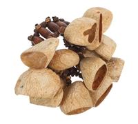 Parliky African Tribal Nut Shells Percussion Wristband Dance Handbell Musical Instrument for Adults Party with Natural Shells for Authentic African Shaker Sounds