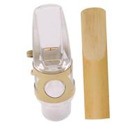 Parliky Alto Saxophone Flute Head with Reed and Ligature Acrylic Mouthpiece for Professional Alto Sax Players Polished Surface for Comfortable Play and Accurate Tone