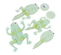 Parliky Frog Tadpole Biology Learning Kit DIY Science Project for Preschool Students with Growth Cycle Models Enhances Critical Thinking and Scientific Skills Educational Material