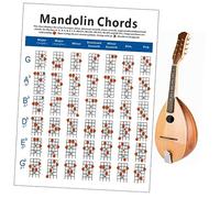 Parliky Mandolin Chord Chart Diagram Practice Chart for Beginners Large Plate Paper